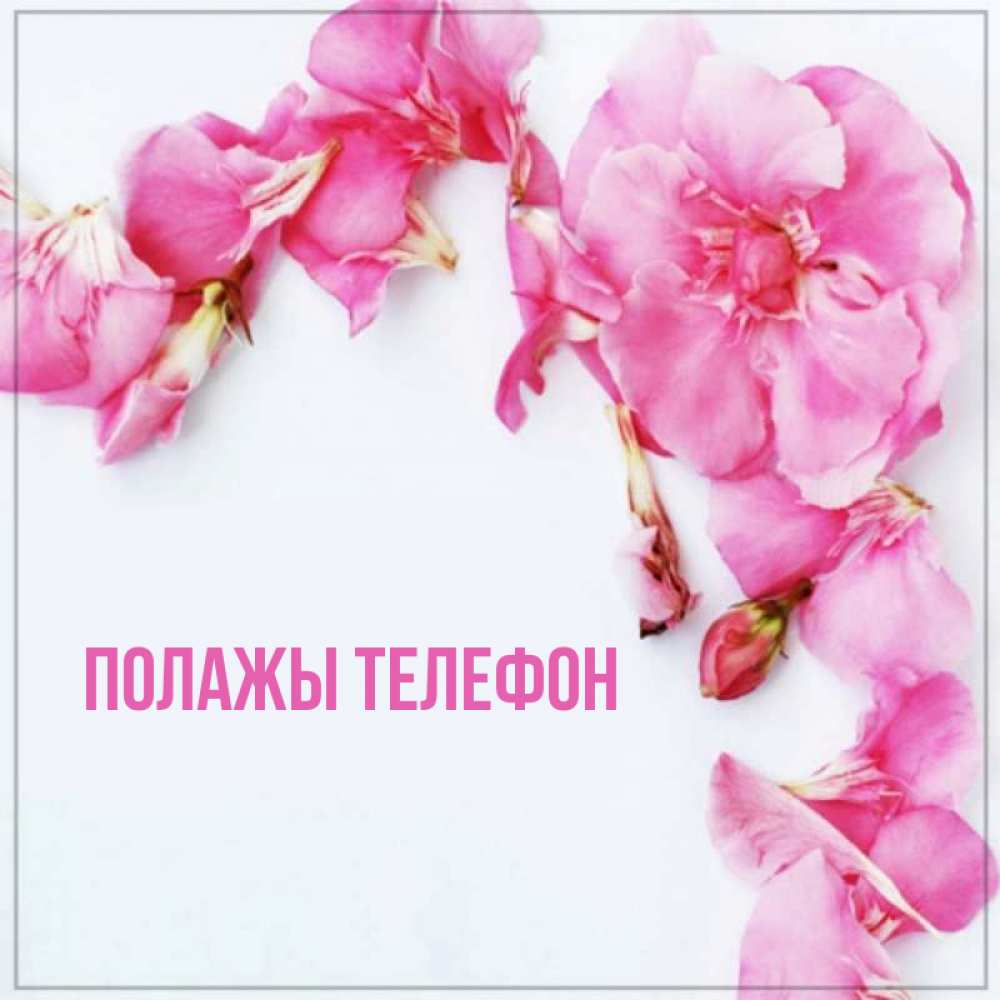 Открытка на каждый день с именем, Полажы-телефон Главная Красивая открытка для поздравления с днем рождения Прикольная открытка с пожеланием онлайн скачать бесплатно 