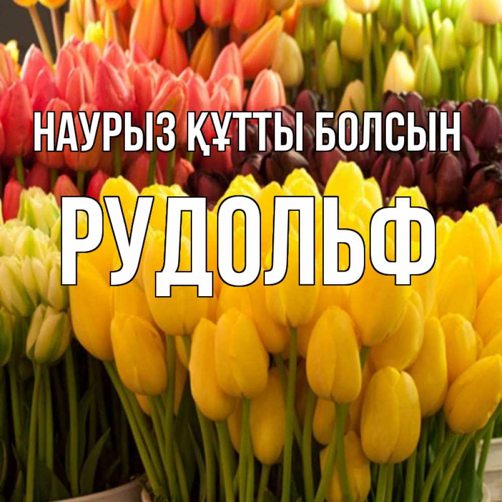 Открытка на каждый день с именем, Рудольф Наурыз құтты болсын цветы Прикольная открытка с пожеланием онлайн скачать бесплатно 