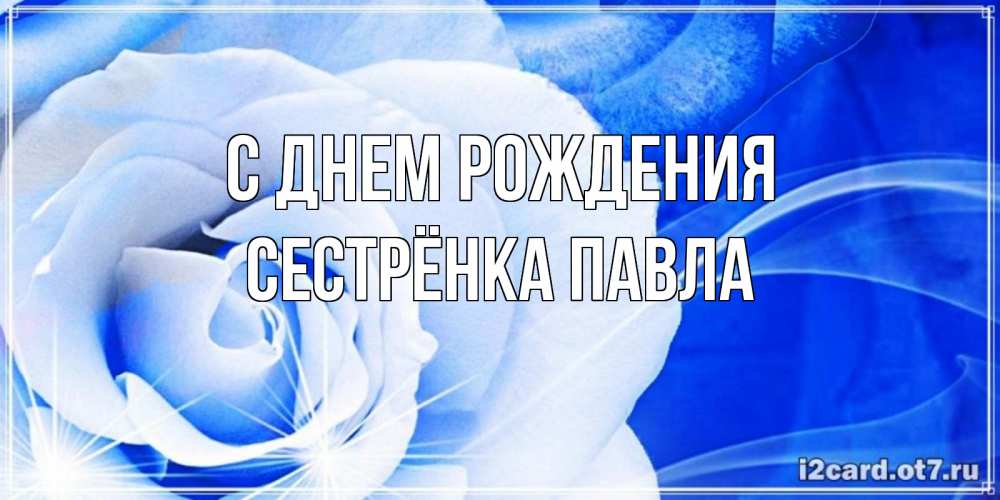 Открытка на каждый день с именем, Сестрёнка-Павла С днем рождения белая роза на голубом фоне Прикольная открытка с пожеланием онлайн скачать бесплатно 