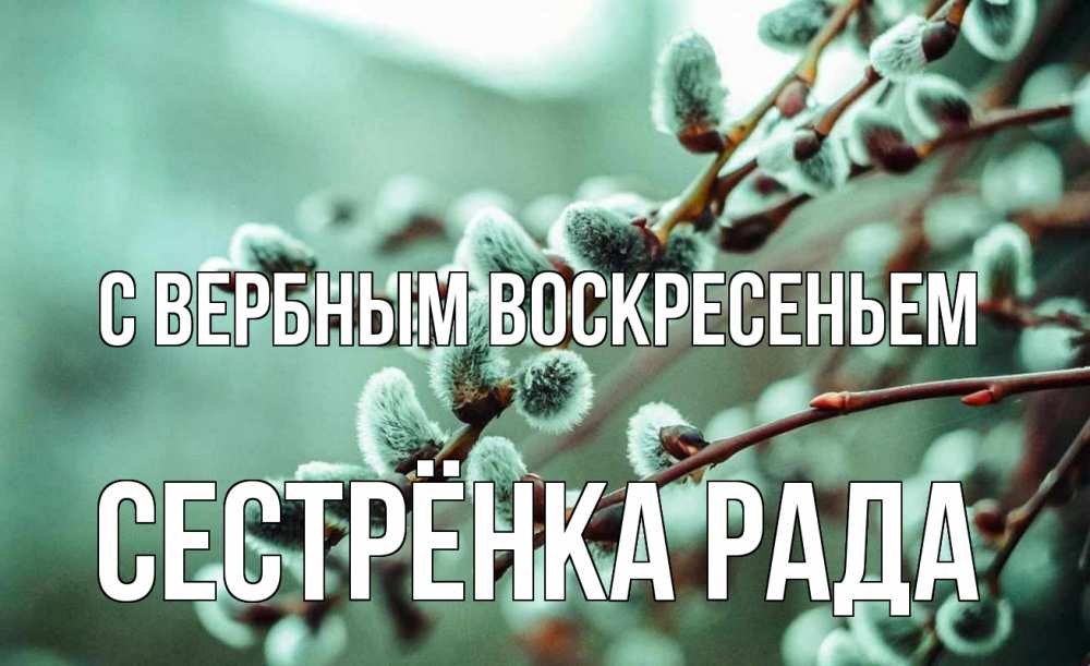 Открытка на каждый день с именем, Сестрёнка-Рада С вербным воскресеньем верба Прикольная открытка с пожеланием онлайн скачать бесплатно 