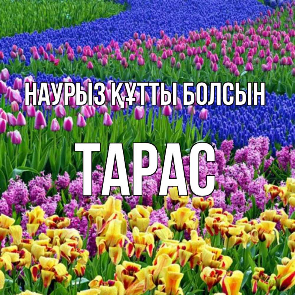 Открытка на каждый день с именем, Тарас Наурыз құтты болсын цветы Прикольная открытка с пожеланием онлайн скачать бесплатно 