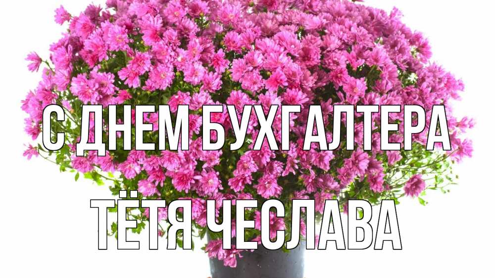 Открытка на каждый день с именем, Тётя-Чеслава С днем бухгалтера с днем бухгалтера Прикольная открытка с пожеланием онлайн скачать бесплатно 