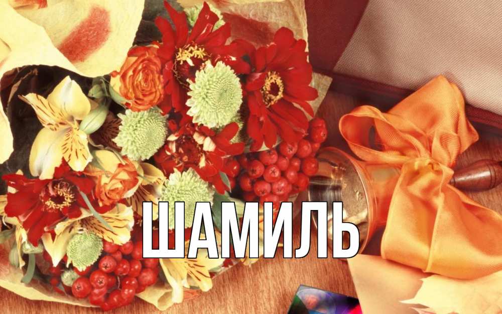 Открытка на каждый день с именем, Шамиль Главная с днем учителя 1 Прикольная открытка с пожеланием онлайн скачать бесплатно 