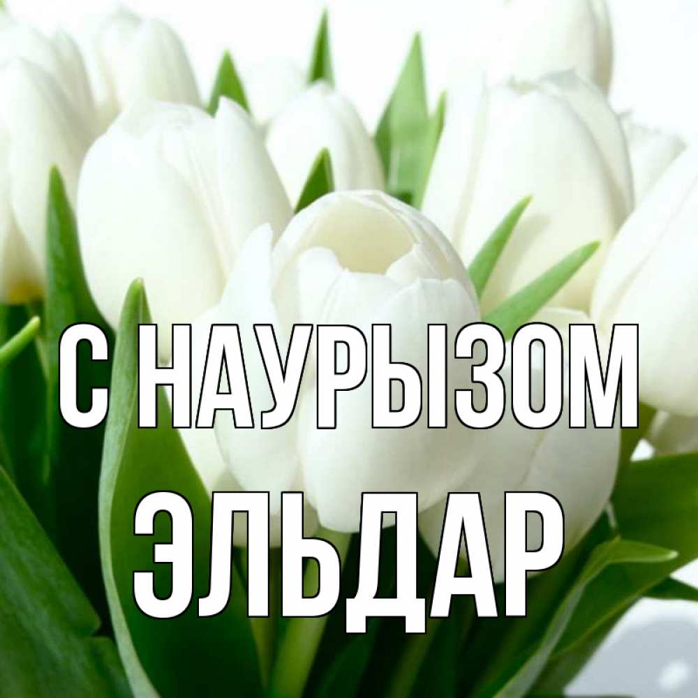 Открытка на каждый день с именем, Эльдар С наурызом цветы Прикольная открытка с пожеланием онлайн скачать бесплатно 