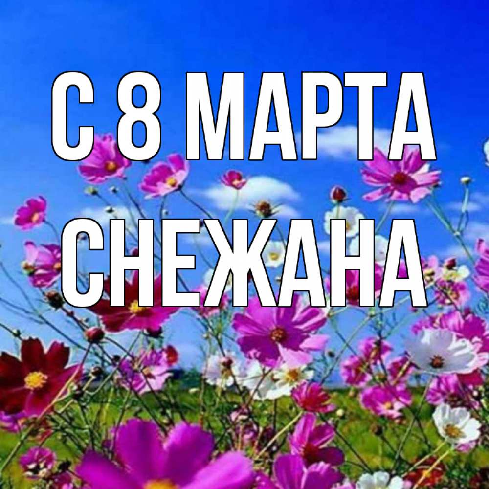 Открытка на каждый день с именем, Снежана С 8 МАРТА цветы Прикольная открытка с пожеланием онлайн скачать бесплатно 
