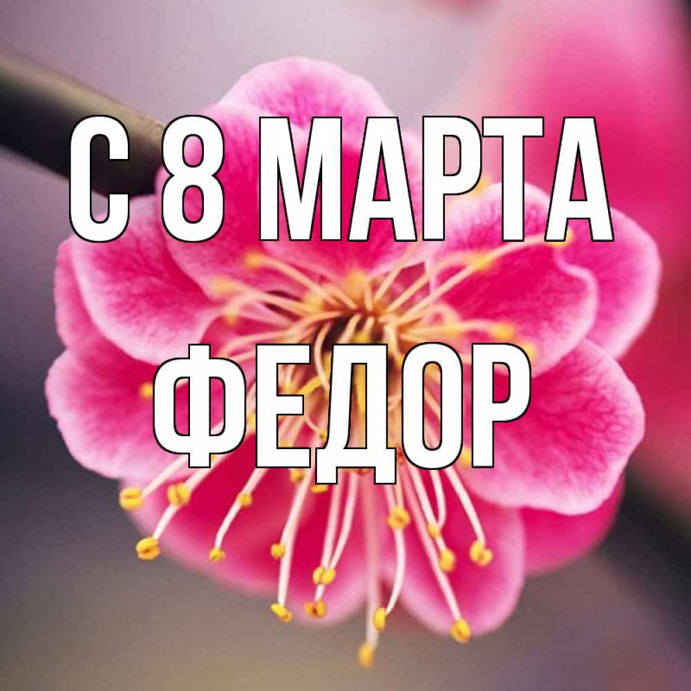 Картинка С 8 МАРТА, Федор