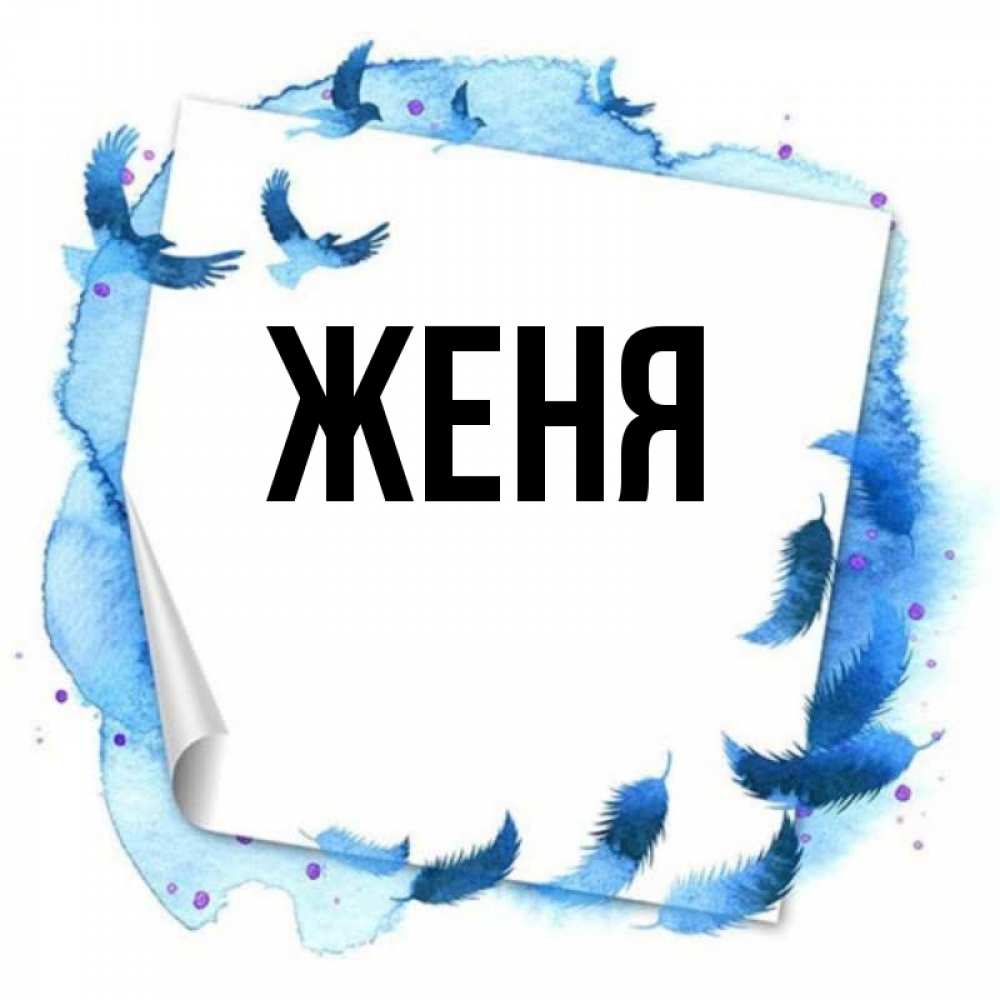 Полное имя женя. Женя картинки