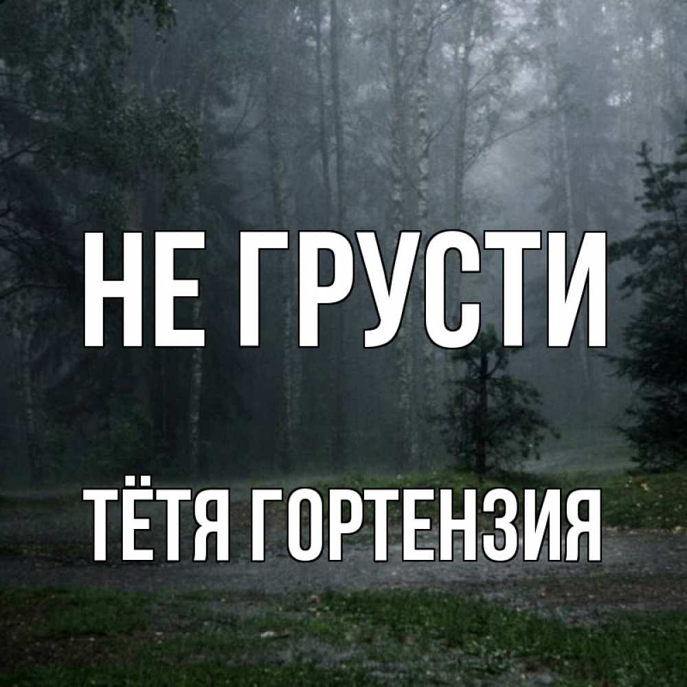 Открытка на каждый день с именем, Тётя-Гортензия Не грусти осень Прикольная открытка с пожеланием онлайн скачать бесплатно 