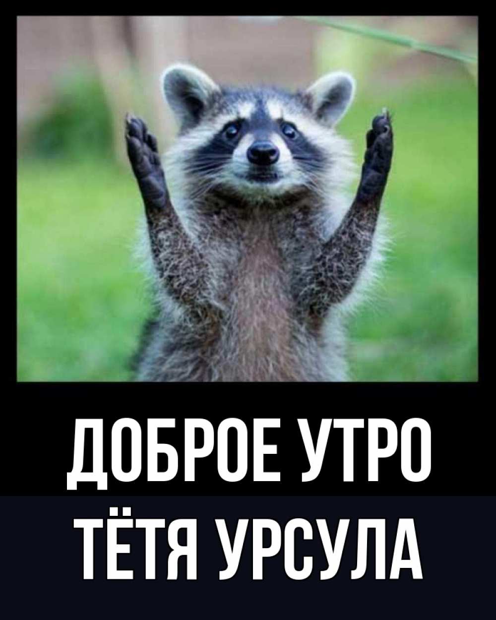 Открытка на каждый день с именем, Тётя-Урсула Доброе утро хорошее настроение утречком Прикольная открытка с пожеланием онлайн скачать бесплатно 