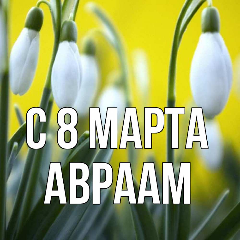 Открытка на каждый день с именем, Авраам С 8 МАРТА весенние цветы Прикольная открытка с пожеланием онлайн скачать бесплатно 