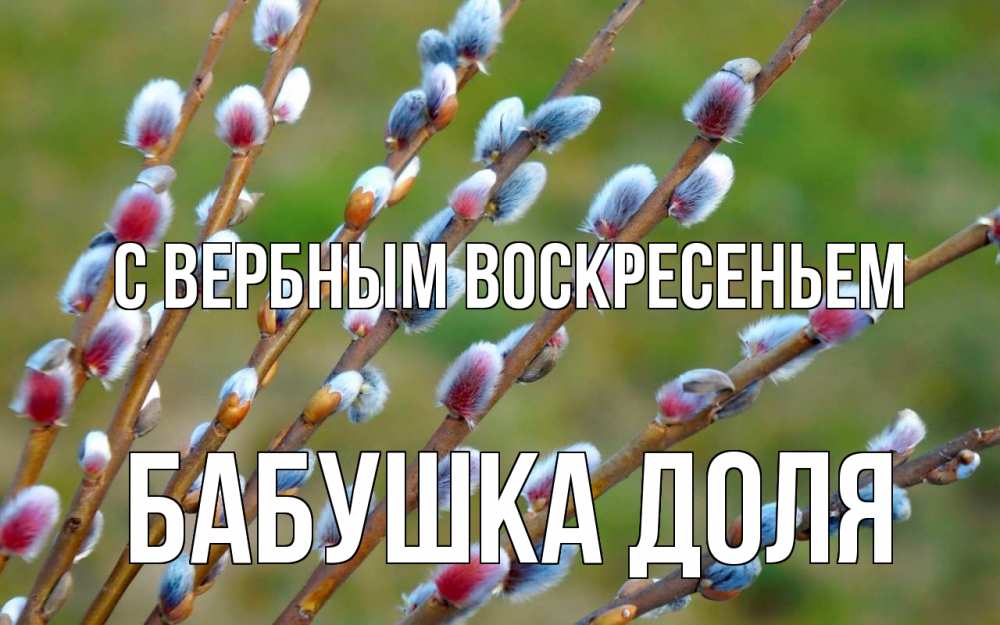 Открытка на каждый день с именем, Бабушка-Доля С вербным воскресеньем верба Прикольная открытка с пожеланием онлайн скачать бесплатно 