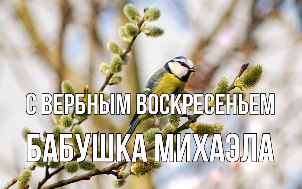 Открытка на каждый день с именем, Бабушка-Михаэла С вербным воскресеньем верба Прикольная открытка с пожеланием онлайн скачать бесплатно 