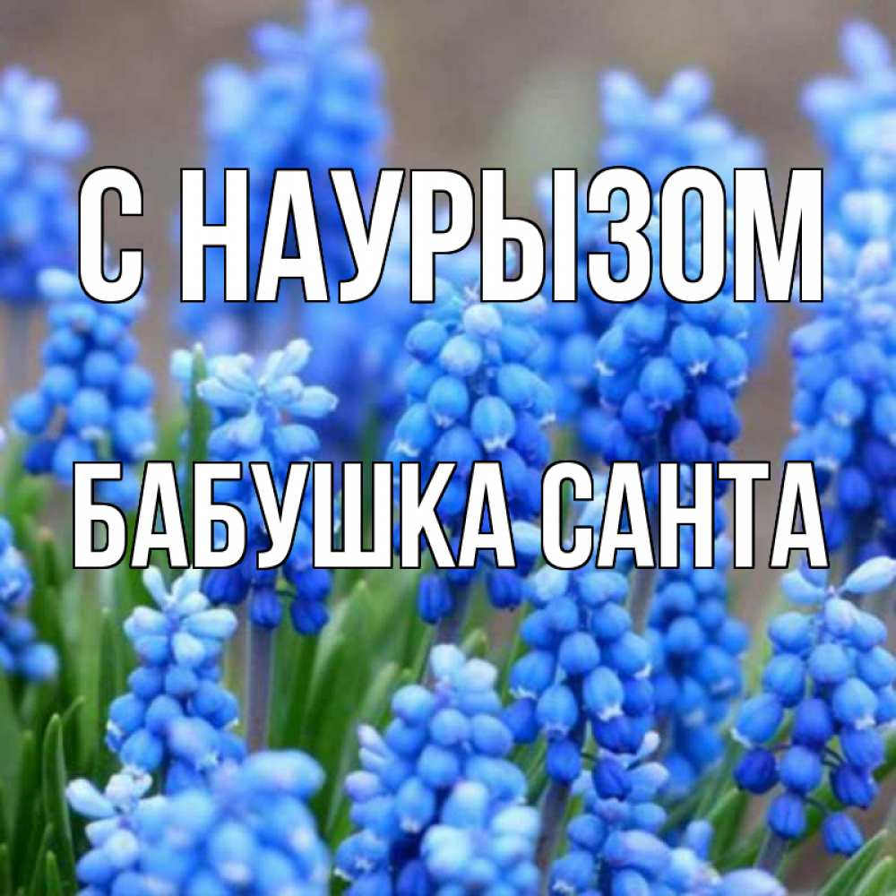 Открытка на каждый день с именем, Бабушка-Санта С наурызом Поздравительная открытка для женщин с цветами на праздничную дату Прикольная открытка с пожеланием онлайн скачать бесплатно 