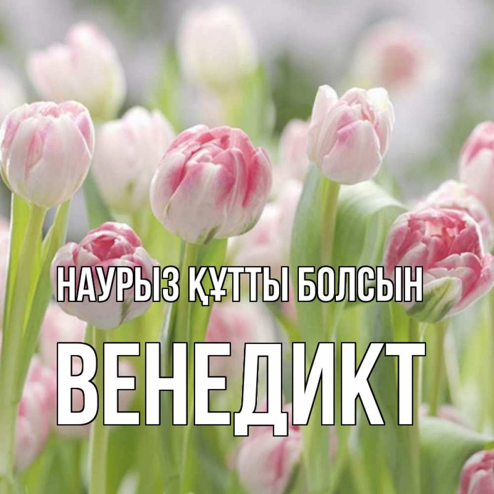 Открытка на каждый день с именем, Венедикт Наурыз құтты болсын цветы Прикольная открытка с пожеланием онлайн скачать бесплатно 