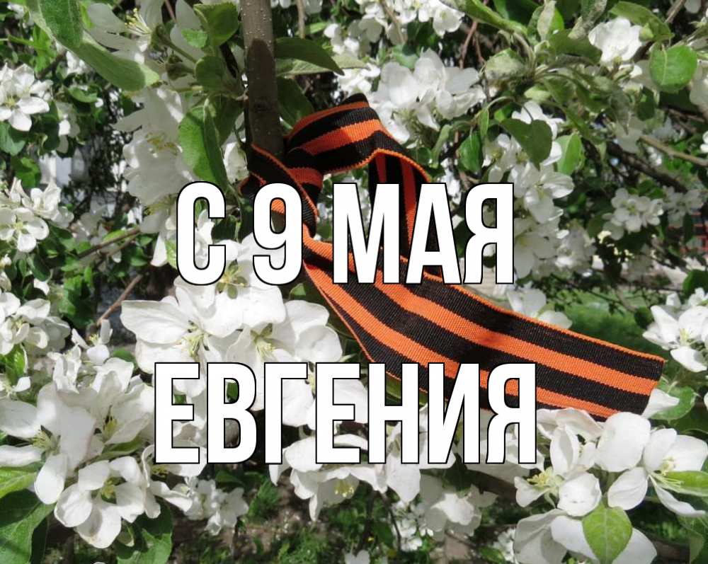 Открытка на каждый день с именем, Евгения С 9 мая 9 мая Прикольная открытка с пожеланием онлайн скачать бесплатно 