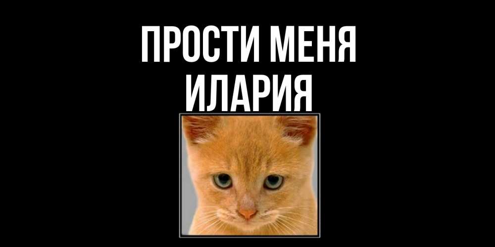 Открытка на каждый день с именем, Илария Прости меня рыжий грустный кот просит прощения Прикольная открытка с пожеланием онлайн скачать бесплатно 