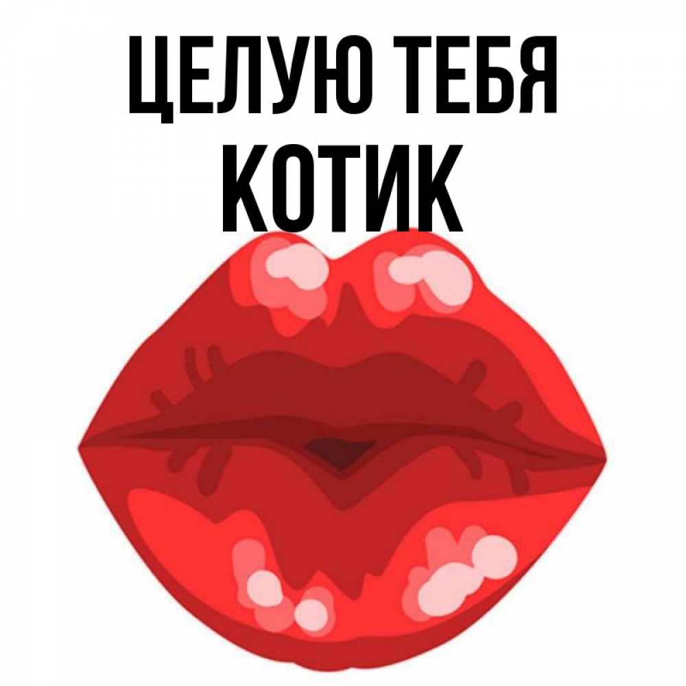 Открытка на каждый день с именем, Котик Целую тебя отправить открытку с поцелуем бесплатно и скачать для парня Прикольная открытка с пожеланием онлайн скачать бесплатно 