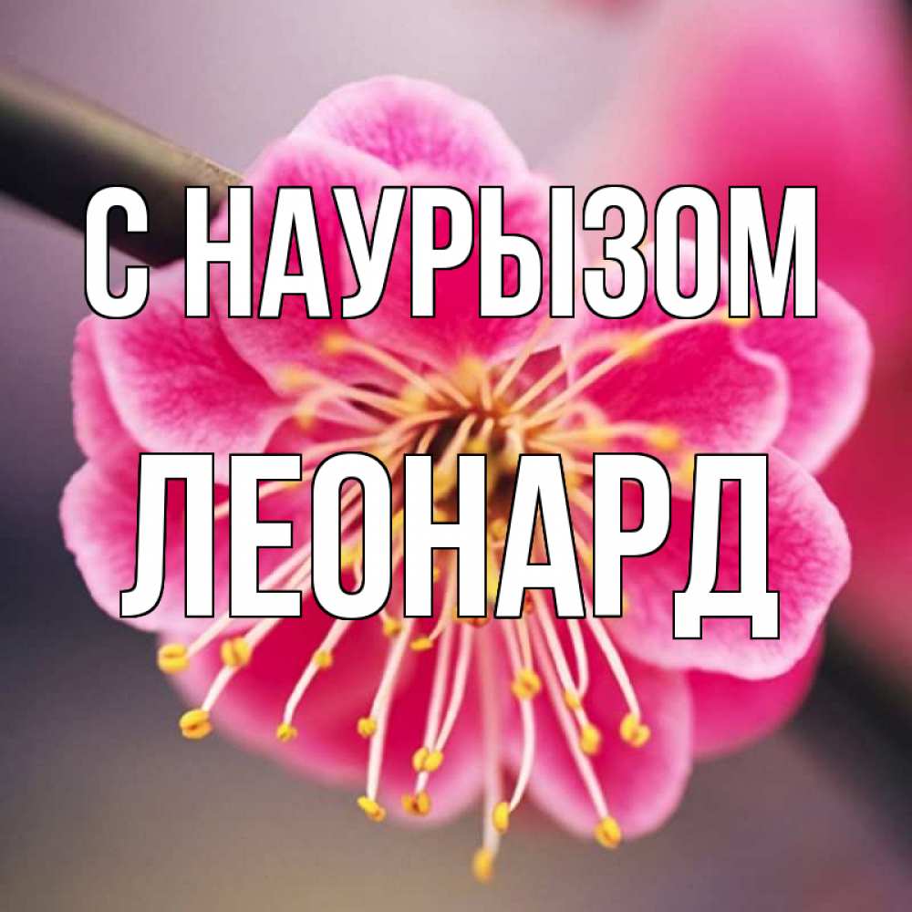 Открытка на каждый день с именем, Леонард С наурызом цветы Прикольная открытка с пожеланием онлайн скачать бесплатно 