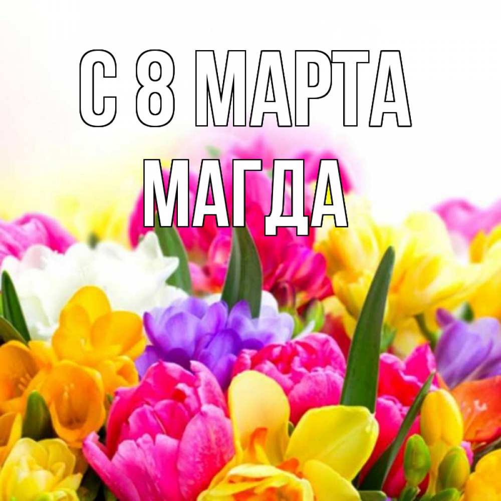 Открытка на каждый день с именем, Магда С 8 марта тюльпаны Прикольная открытка с пожеланием онлайн скачать бесплатно 