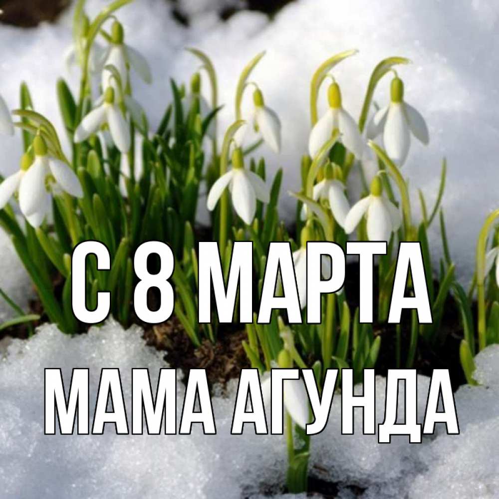 Открытка на каждый день с именем, Мама-Агунда С 8 марта цветы весенние Прикольная открытка с пожеланием онлайн скачать бесплатно 