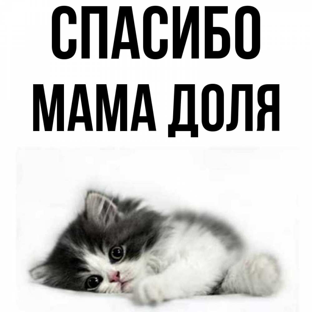 Открытка на каждый день с именем, Мама-Доля Спасибо черный и белый кот Прикольная открытка с пожеланием онлайн скачать бесплатно 