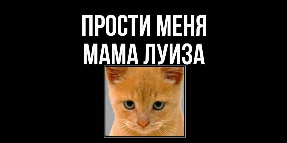 Открытка на каждый день с именем, Мама-Луиза Прости меня рыжий грустный кот просит прощения Прикольная открытка с пожеланием онлайн скачать бесплатно 