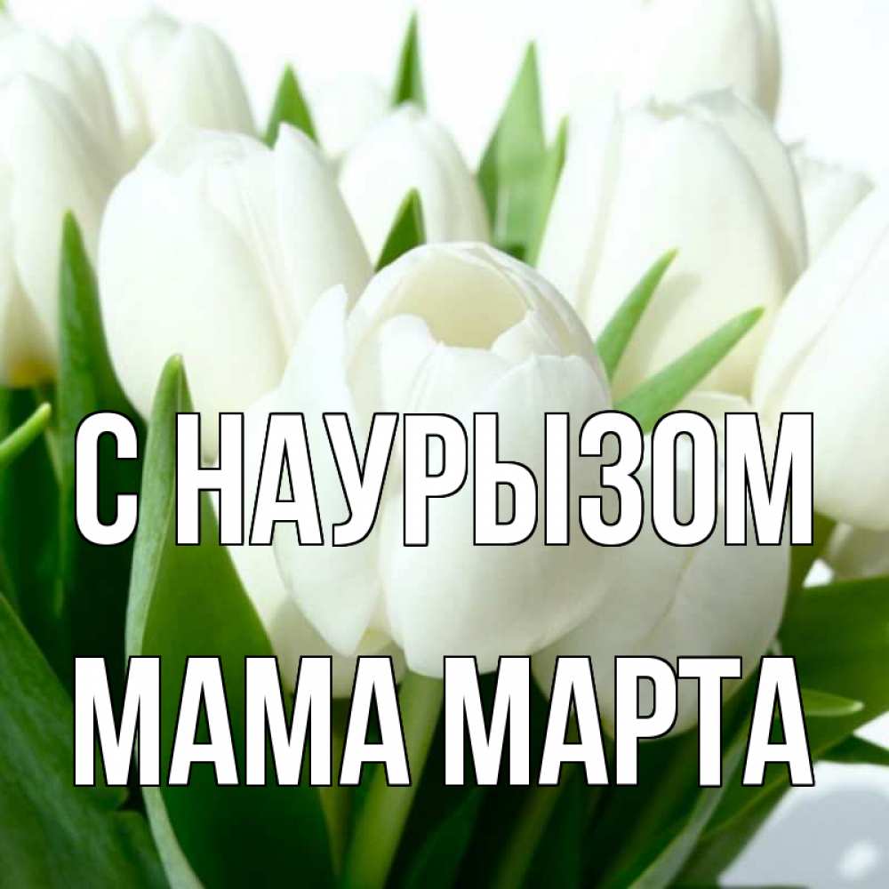 Открытка на каждый день с именем, Мама-Марта С наурызом цветы Прикольная открытка с пожеланием онлайн скачать бесплатно 
