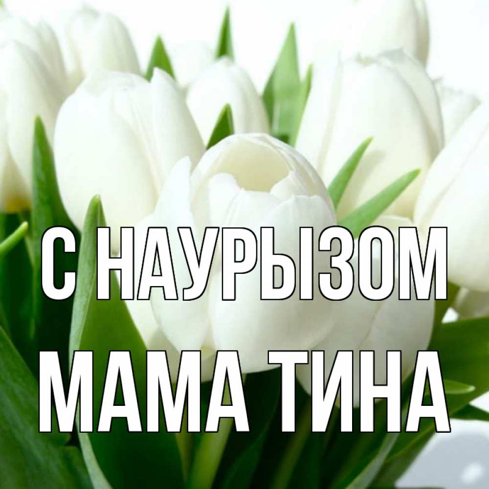 Открытка на каждый день с именем, Мама-Тина С наурызом цветы Прикольная открытка с пожеланием онлайн скачать бесплатно 