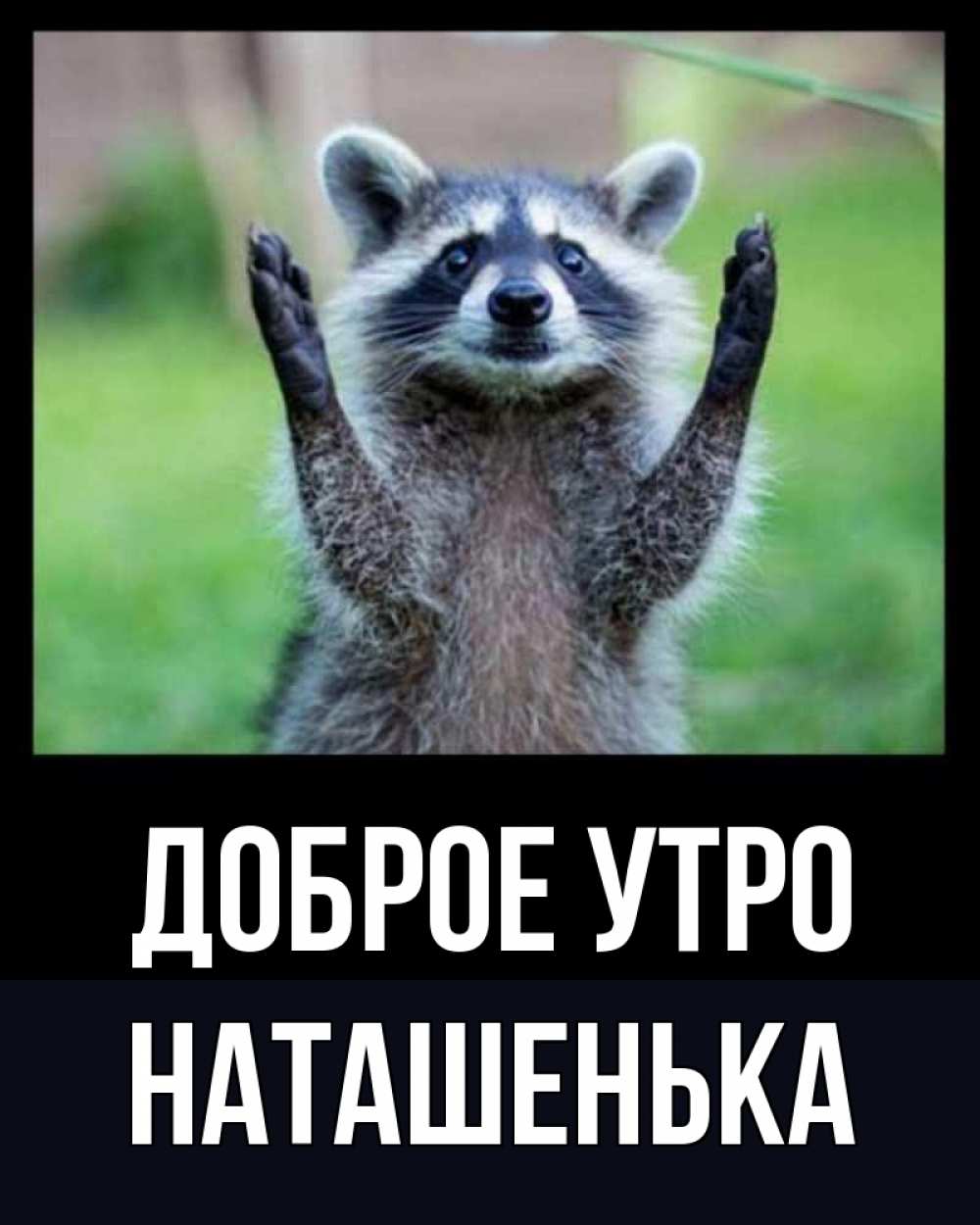 Открытка на каждый день с именем, Наташенька Доброе утро хорошее настроение утречком Прикольная открытка с пожеланием онлайн скачать бесплатно 