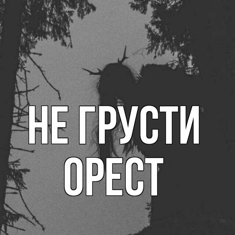 Открытка на каждый день с именем, Орест Не грусти чудище лесное Прикольная открытка с пожеланием онлайн скачать бесплатно 