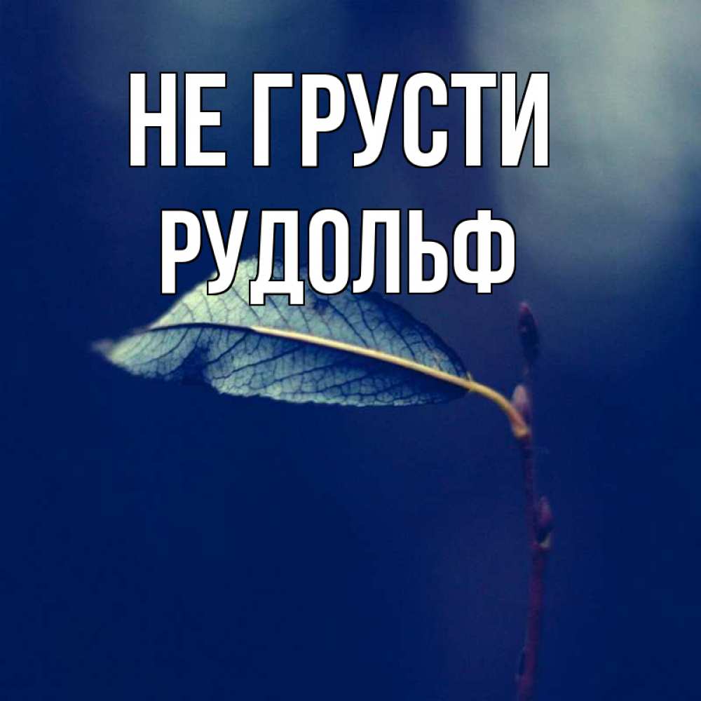 Открытка на каждый день с именем, Рудольф Не грусти растение Прикольная открытка с пожеланием онлайн скачать бесплатно 