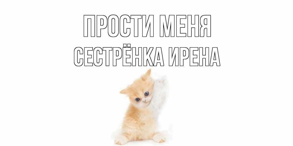 Открытка на каждый день с именем, Сестрёнка-Ирена Прости меня кот Прикольная открытка с пожеланием онлайн скачать бесплатно 