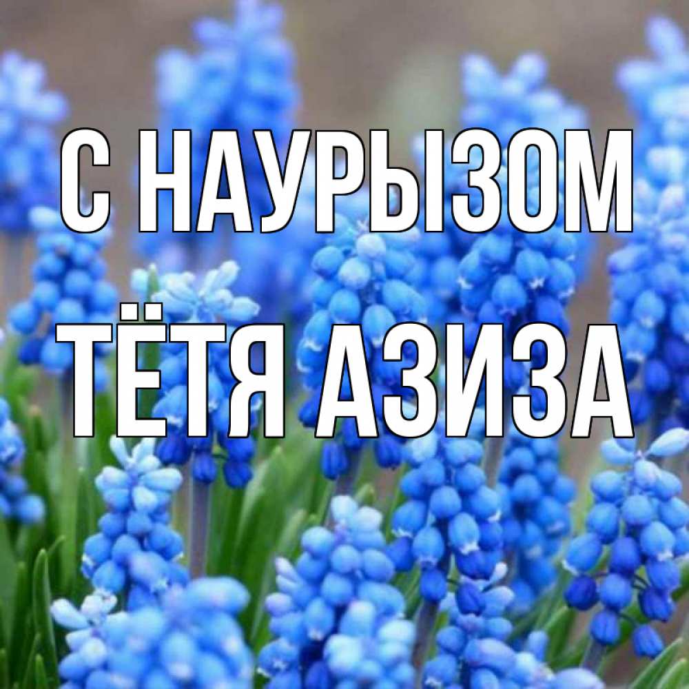 Открытка на каждый день с именем, Тётя-Азиза С наурызом Поздравительная открытка для женщин с цветами на праздничную дату Прикольная открытка с пожеланием онлайн скачать бесплатно 