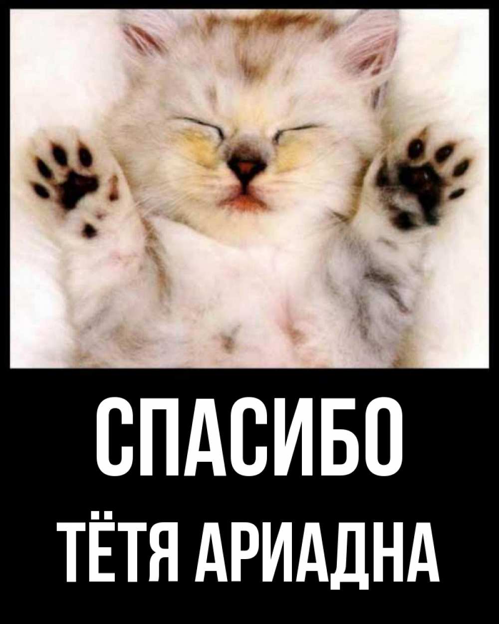 Открытка на каждый день с именем, Тётя-Ариадна Спасибо маленький котенок Прикольная открытка с пожеланием онлайн скачать бесплатно 