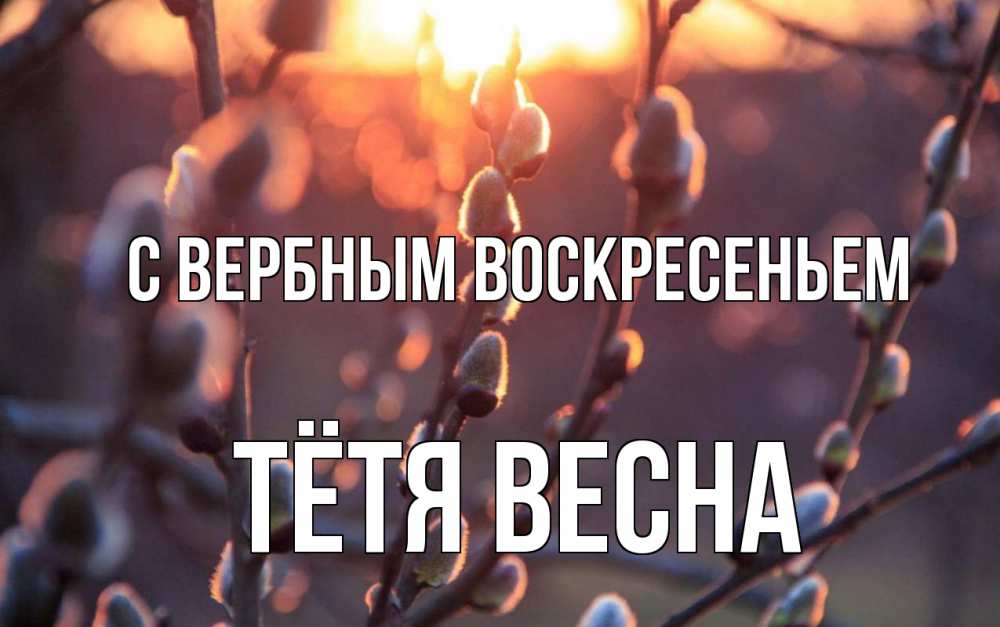 Открытка на каждый день с именем, Тётя-Весна С вербным воскресеньем верба Прикольная открытка с пожеланием онлайн скачать бесплатно 