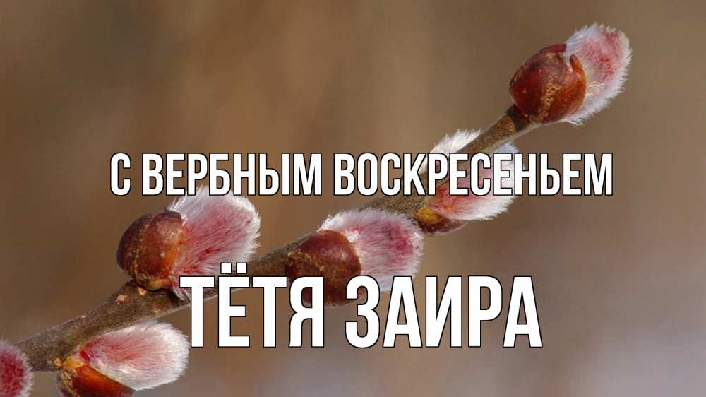 Открытка на каждый день с именем, Тётя-Заира С вербным воскресеньем верба Прикольная открытка с пожеланием онлайн скачать бесплатно 