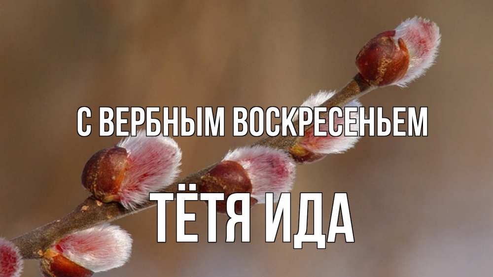 Открытка на каждый день с именем, Тётя-Ида С вербным воскресеньем верба Прикольная открытка с пожеланием онлайн скачать бесплатно 
