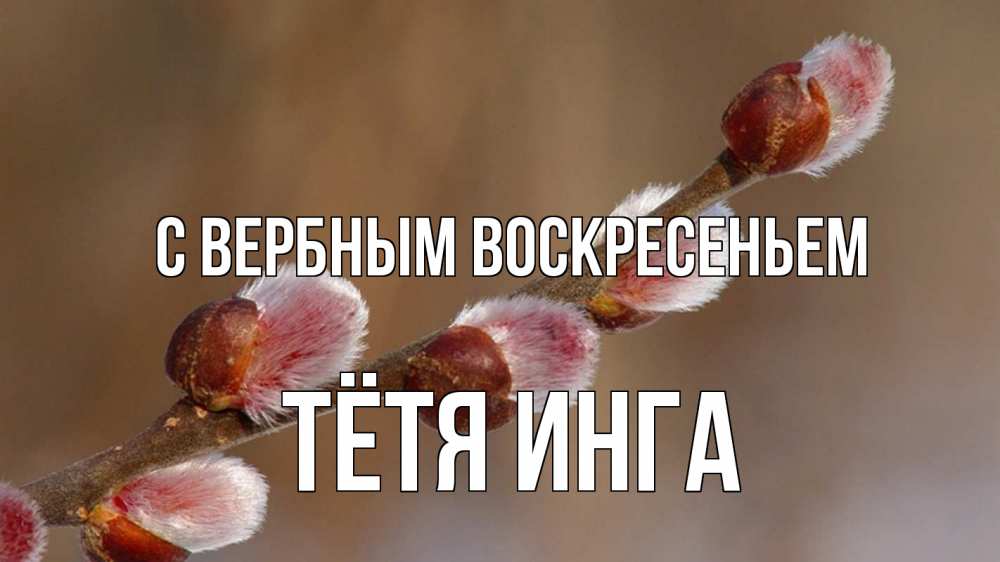 Открытка на каждый день с именем, Тётя-Инга С вербным воскресеньем верба Прикольная открытка с пожеланием онлайн скачать бесплатно 