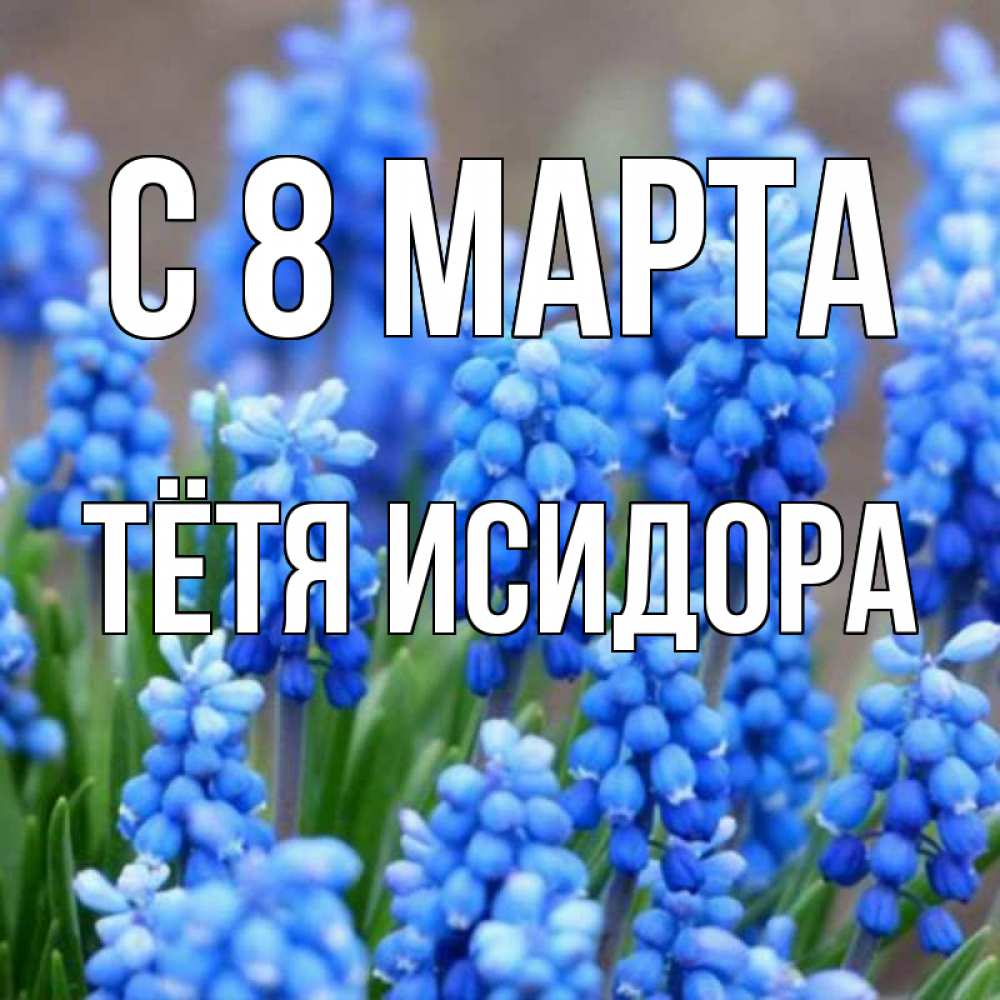 Открытка на каждый день с именем, Тётя-Исидора С 8 МАРТА Поздравительная открытка для женщин с цветами на праздничную дату Прикольная открытка с пожеланием онлайн скачать бесплатно 