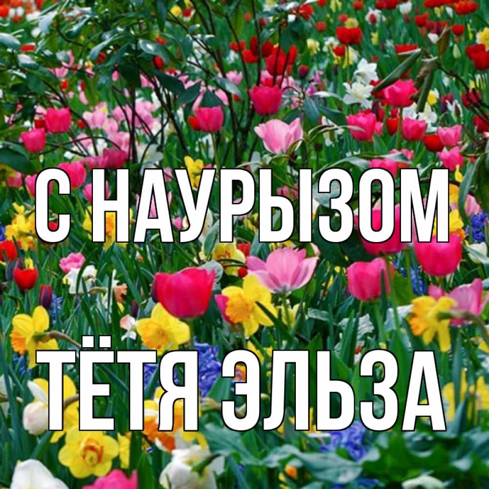 Открытка на каждый день с именем, Тётя-Эльза С наурызом с наурызом праздником весны поздравления для женщины Прикольная открытка с пожеланием онлайн скачать бесплатно 