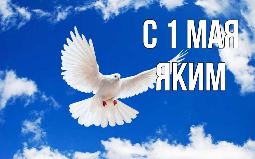 Открытка на каждый день с именем, Яким С 1 мая С 1 мая 1 Прикольная открытка с пожеланием онлайн скачать бесплатно 