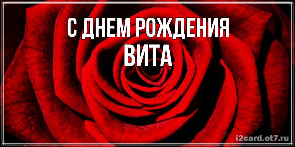 Открытка на каждый день с именем, Вита С днем рождения алая роза Прикольная открытка с пожеланием онлайн скачать бесплатно 
