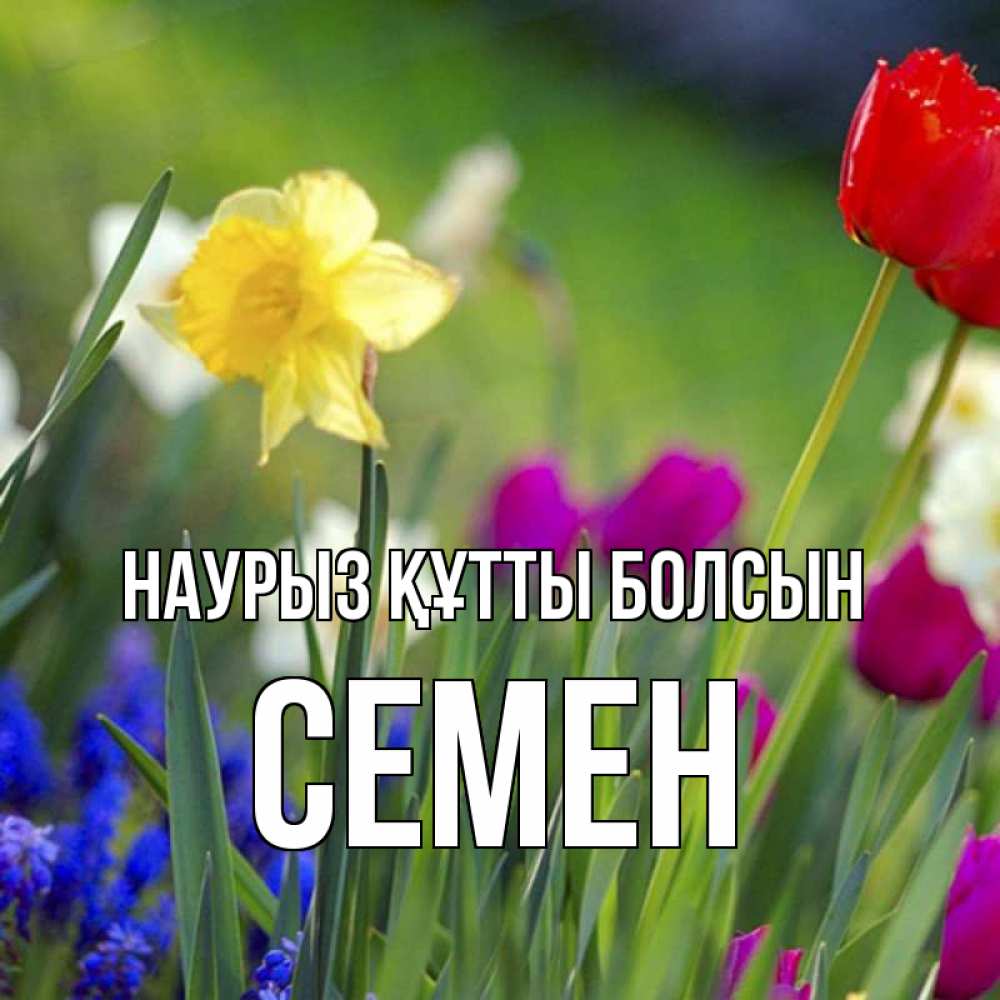 Открытка на каждый день с именем, Семен Наурыз құтты болсын наурыз  3 открытки Прикольная открытка с пожеланием онлайн скачать бесплатно 
