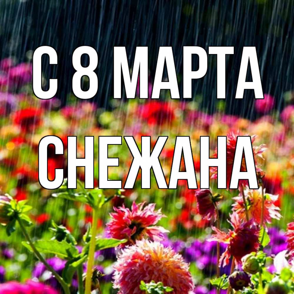 Открытка на каждый день с именем, Снежана С 8 МАРТА цветы под дождиком к международному женскому дню Прикольная открытка с пожеланием онлайн скачать бесплатно 