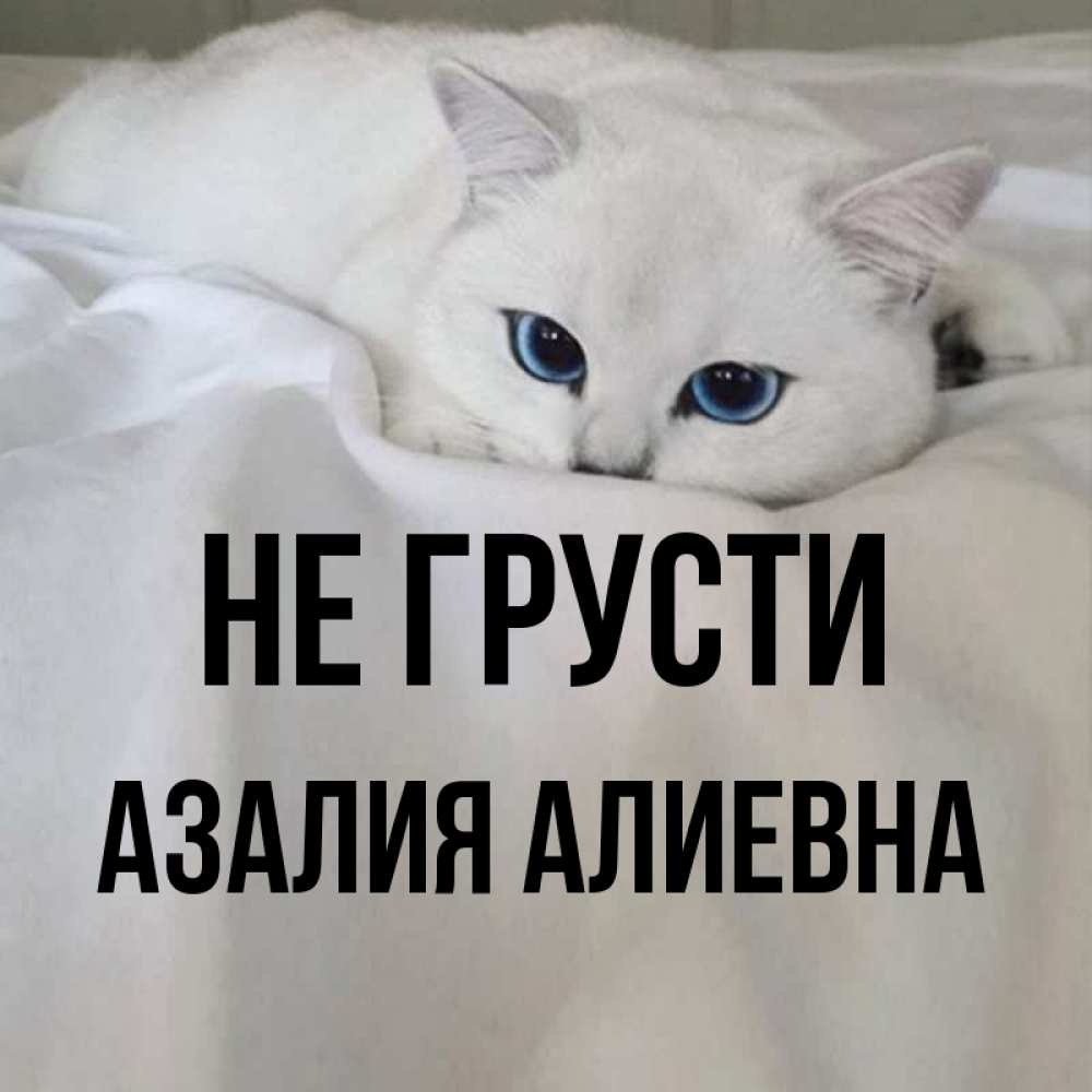 Картинки С Именем Азалия
