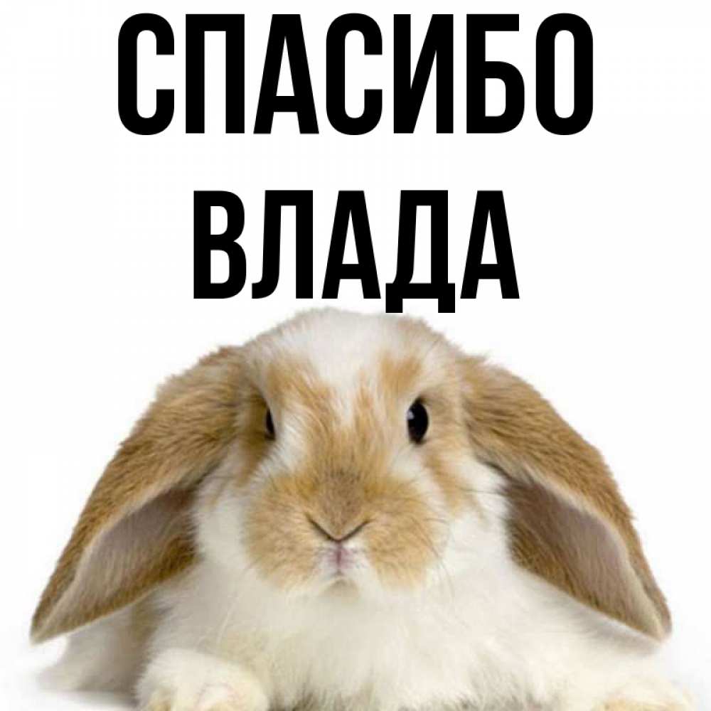 My name vlad. Владик спасибо картинки прикольные