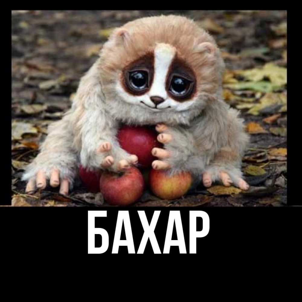 Картинка  с именем , Бахар