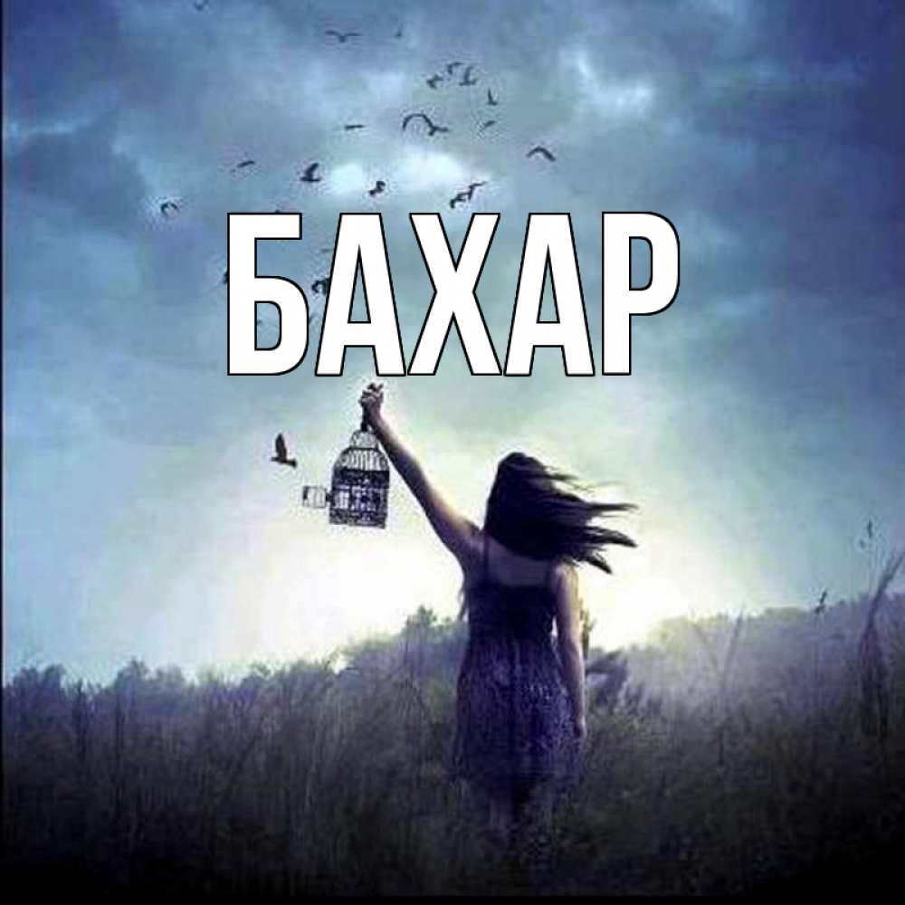 Открытка на каждый день с именем, Бахар Главная на волю Прикольная открытка с пожеланием онлайн скачать бесплатно 