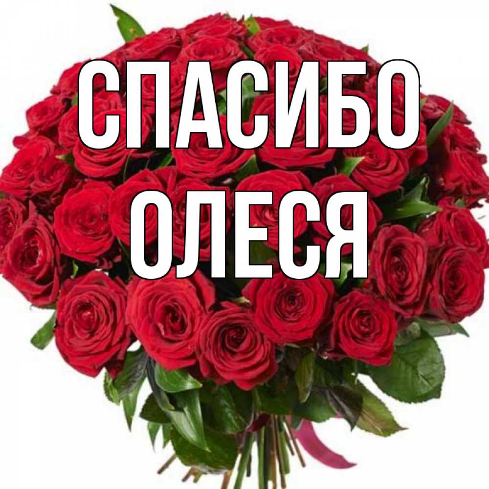 Олеся Красивые Картинки