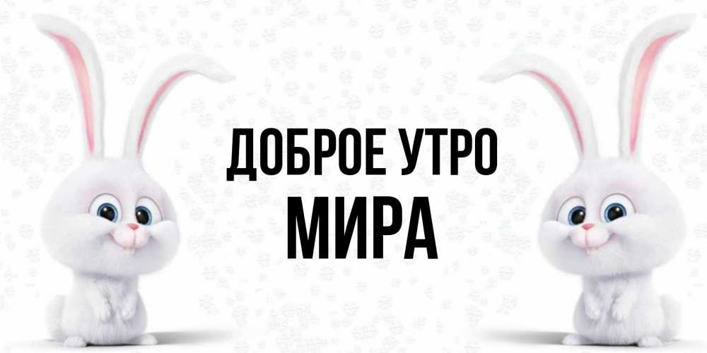 Открытка на каждый день с именем, Мира Доброе утро кролики с длинными ушками Прикольная открытка с пожеланием онлайн скачать бесплатно 